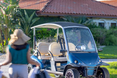 GARIA 51